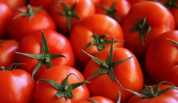 Domates ihracatçısını Rusya'nın kotayı artırması sevindirdi