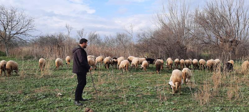 Havranlı çoban, paylaştığı videolarla sosyal medya fenomeni oldu
