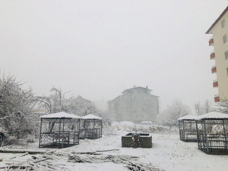 La nevicata, efficace nel distretto Hazan di Badlis, ha reso la città bianca.