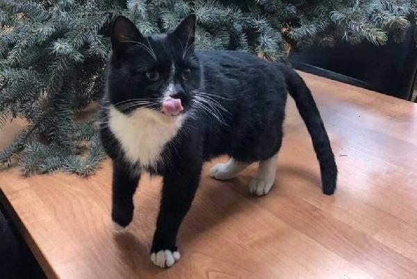 u3VTR 1608845381 1569