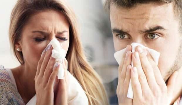 toz alerjisine ne iyi gelir toz ve tuy alerjisinin nedenleri saglik haberleri