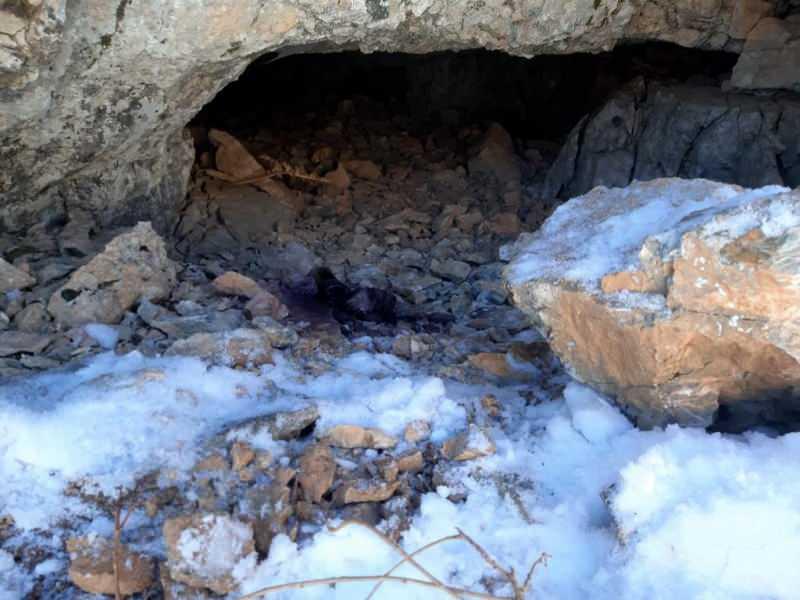 Bitlis'te 250 kilo amonyum nitrat ele geçirildi