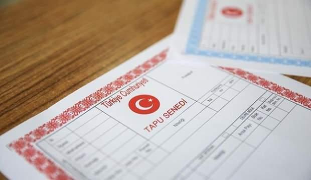 Pandemide 'Wep Tapu'ya talep 4 kat artı