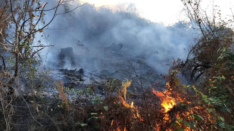 Rize'de 2 ayrı bölgede orman yangını