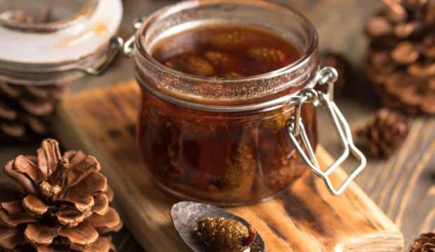 Kozalak şurubu hangi hastalıklara iyi gelir? Çam kozalağı şurubu nasıl yapılır?