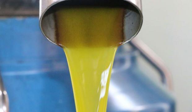 Zeytinyağındaki büyük hileye dikkat! Ucuza mal etmek için kanola ve soya karıştırıyorlar