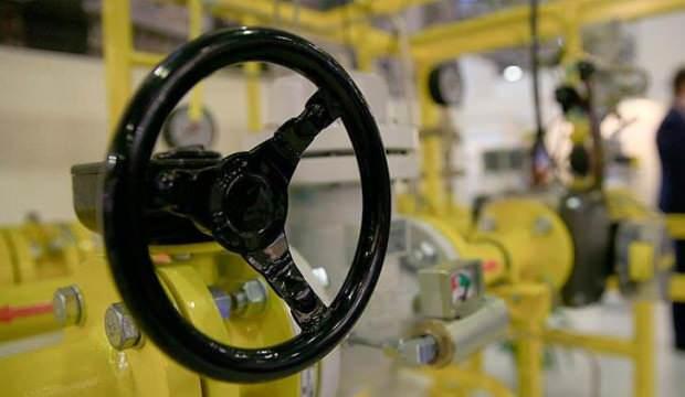 2021'de 51 milyar metreküp doğal gaz tüketilmesi bekleniyor