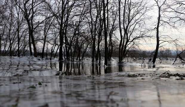 Edirne'de Tunca Nehri kenarındaki tarlalar soğuk nedeniyle buz tuttu