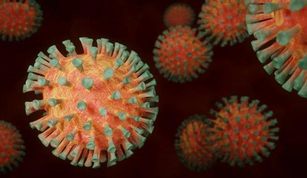 Gıdalardan korona virüs bulaşır mı? Covid-19 riskine karşı yemekler nasıl pişirilir?