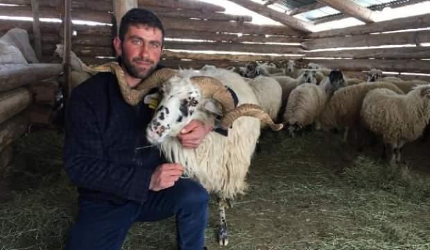 Çobanı evlilik vaadiyle dolandıran genç kadın tutuklandı