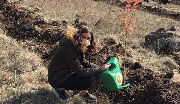 Eskişehir İnönü ormanlarından bal damlayacak!