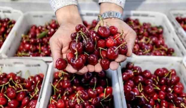 İthal kirazların iç ambalajında koronavirüs çıktı