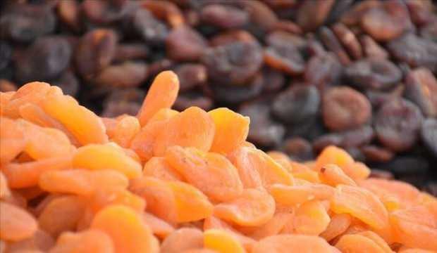 ABD ve Çin'e kuru kayısı ihracatının artırılması hedefleniyor