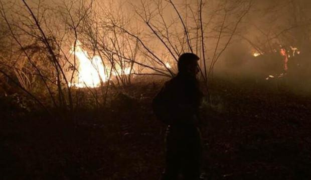 Düzce'deki orman yangını kontrol altına alındı