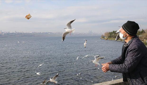 Çöpten topladığı ekmeklerle her gün kuşları besliyor!