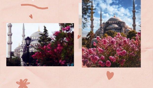 yasemin com