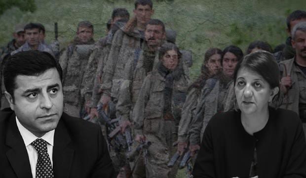 HDP'nin 'kınama' oyunu: PKK'yla bağlantıları yokmuş!