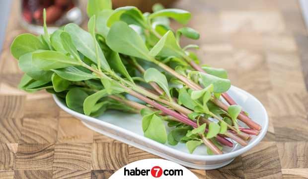 Semizotunun faydaları nelerdir? Semizotu nasıl tüketilir? Semizotu vitaminleri...