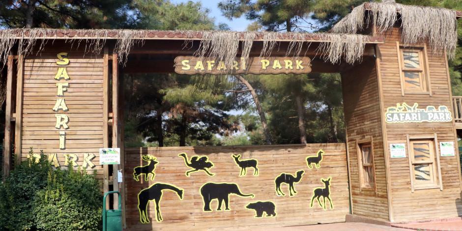 Türkiye'nin ilk ve tek safari parkı