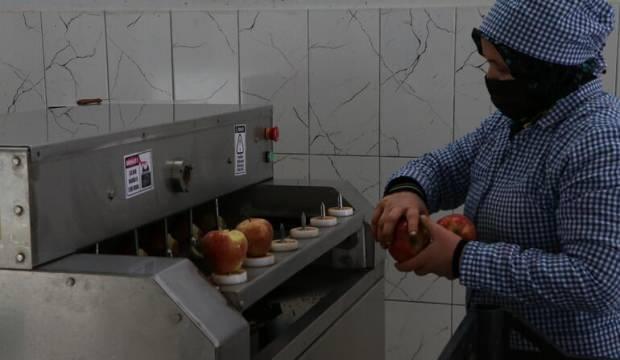 İtalya'da gördü, Niğde'de kurdu! Şimdi dünyaya ihraç ediyor