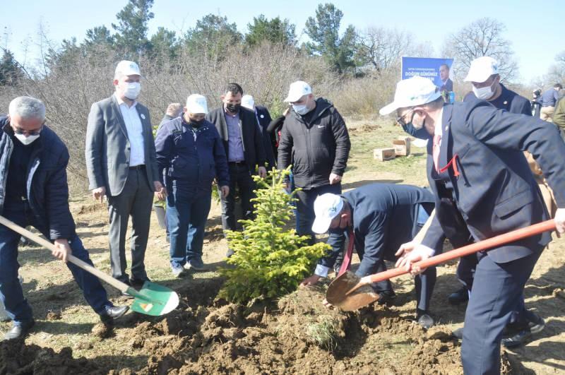 Cumhurbaşkanı Erdoğan'ın doğum gününde 'hatıra ormanı' oluşturuldu