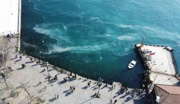 İstanbul Boğazı'nı istila ettiler! Sebebini uzmanı açıkladı
