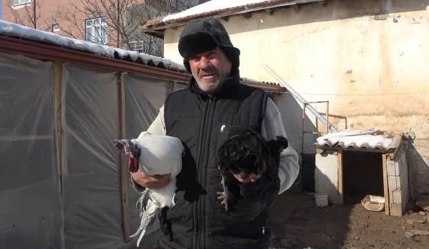 Kırıkkale'de hobi olarak yetiştirmeye başladığı tavuğun piyasa fiyatı 17 bin TL!
