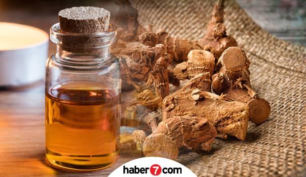 Udi Hindi Tozu Faydalari Nelerdir Udi Hindi Yagi Nasil Kullanilir Saglik Haberleri