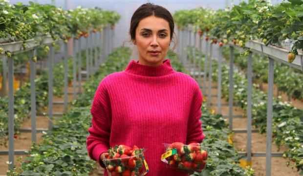 Girişimci kadın topraksız tarımla çilek üretti
