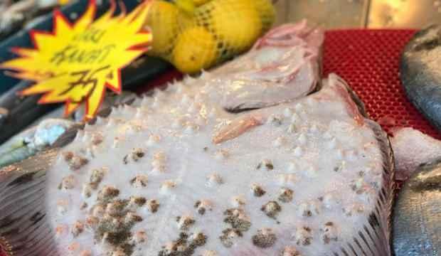 Kilosu 250 liradan yok satıyor!