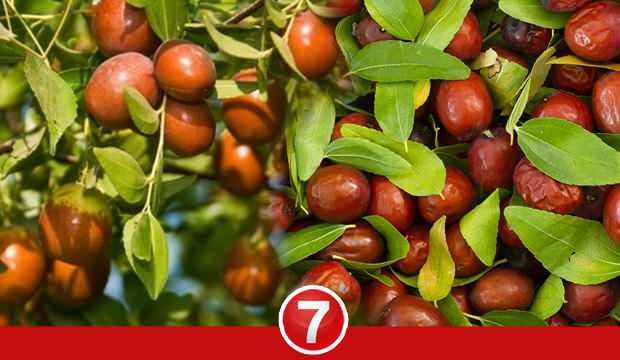 Hünnabın faydaları nelerdir? Kuru hünnap çayı nasıl hazırlanır?