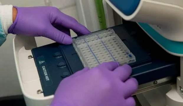 Son dakika haberi: Turistlerle ilgili önemli PCR testi açıklaması