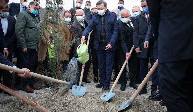 yanan ormanlara 31 bin fidan dikti