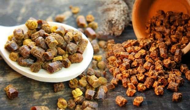 Sindirim dostu probiyotik besin: Arı ekmeği