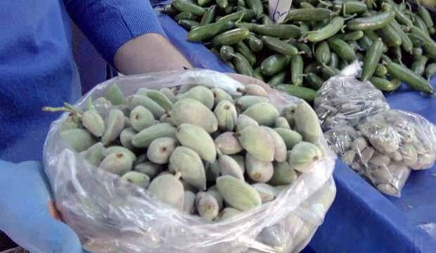 Yazın habercisi çağla 50 liradan satıldı, kısa sürede tükendi!