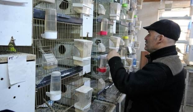 Bir çift kuşla başladığı hobisi 200 kuşluk bir tutkuya dönüştü!