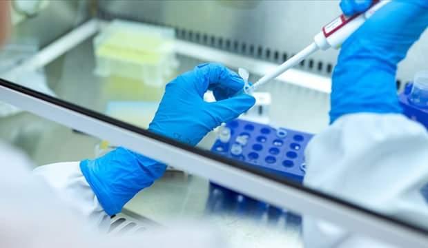 TÜBİTAK ekosistemi kanser araştırmalarına açıldı