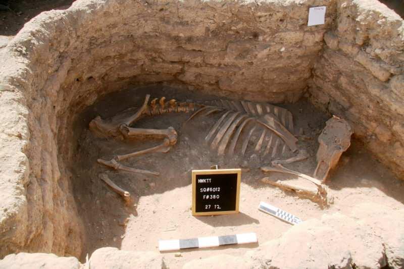 CQvRV_1617955432_6674 Mısır’ın 3 bin yıllık ‘kayıp altın şehri' sonunda bulundu
