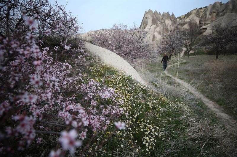 MKeAa_1617799954_3002 Bahar çiçekleri Kapadokya'yı renklendirdi