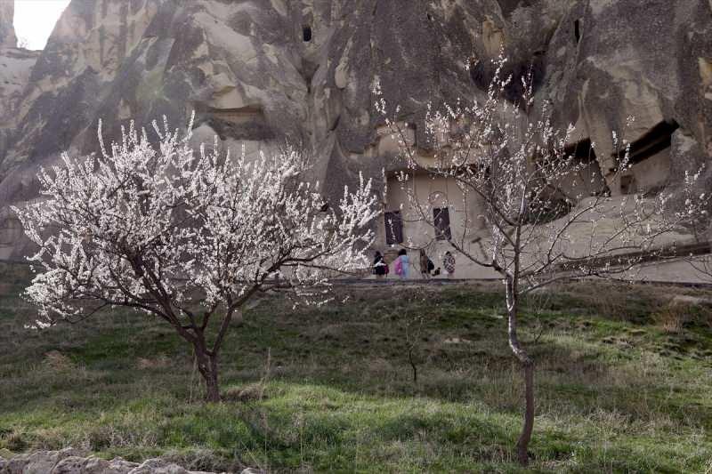 QBlJO_1617799916_4053 Bahar çiçekleri Kapadokya'yı renklendirdi