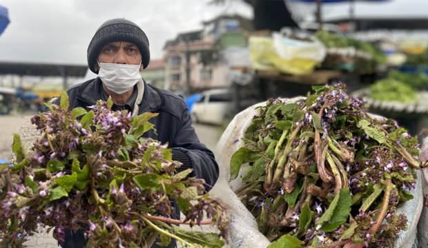 Şifa deposu kaldirik otu! Faydaları saymakla bitmiyor