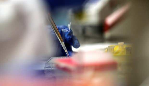 Afrika'da Kovid-19 vakası sayısı 4 milyon 378 bini geçti