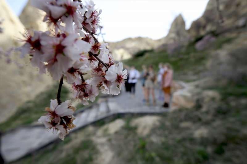 byUpM_1617799900_6999 Bahar çiçekleri Kapadokya'yı renklendirdi