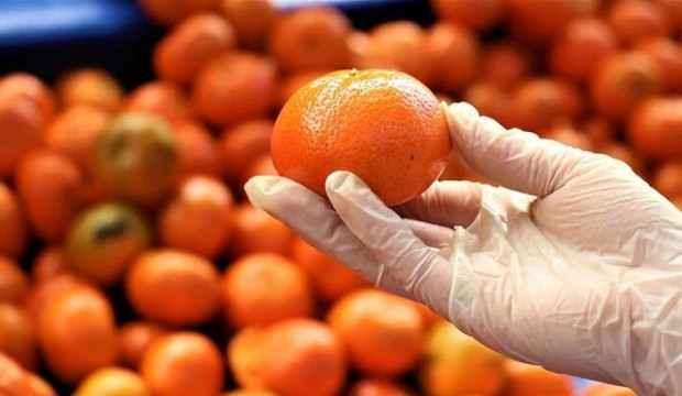 Turunçgil ihracatından 300 milyon dolarlık gelir!