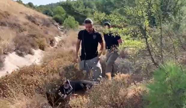 15 yıl sonra ortaya çıkan korkunç cinayete zorla katılmış