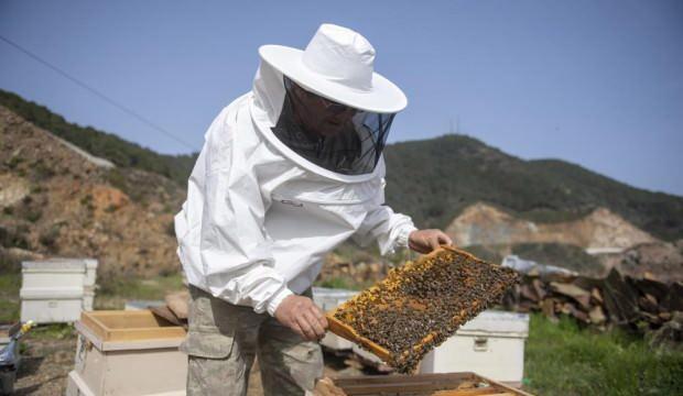 708 arı yetiştiricisine belediyeden ekipman desteği