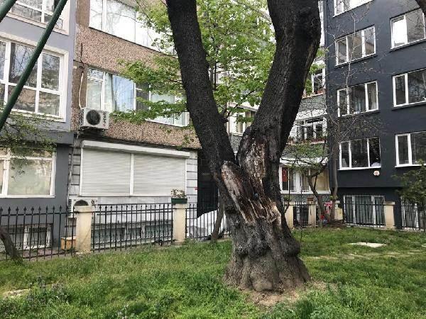 BOkmK 1618554512 8752