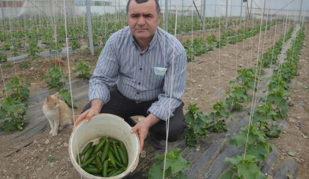 Öğretmenliği bıraktı, çiftlik kurdu!