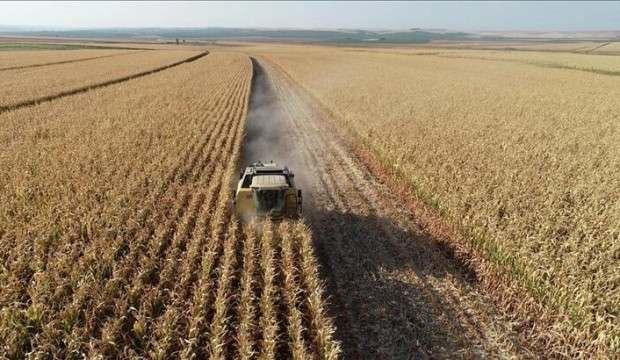 Tarım ÜFE martta aylık bazda arttı