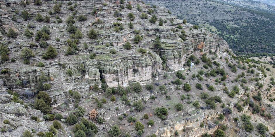 Türkiye'nin ilk fosil ormanı UNESCO yolunda